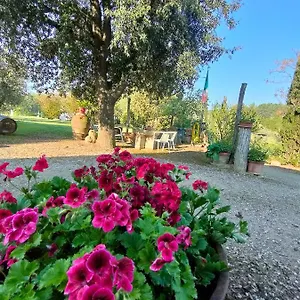  Agroturismo Azienda Agricola Polveraia